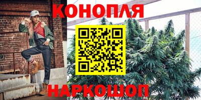 ешки Ставрополь